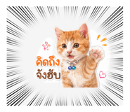 863185726