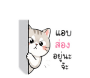 863186294