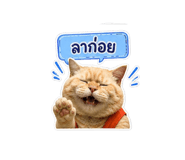 863191180