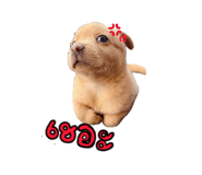 863192267