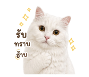 863194507