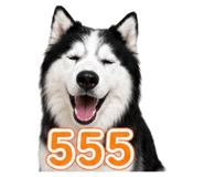 863194526