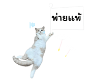 863199535