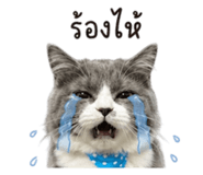 863200248