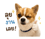 863202106