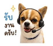 863202113