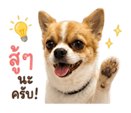 863202120