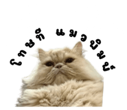 863202330