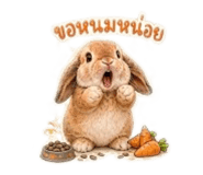 863203457