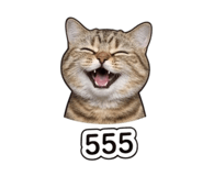 863203932