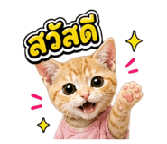 863204529