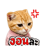 863204534