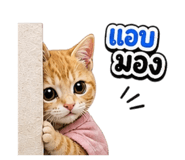 863204540