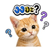 863204549