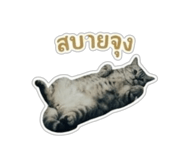 863205767