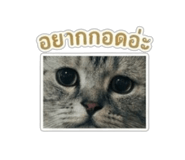 863205774