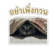 863205775
