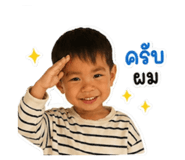 863208838
