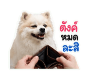 863211715
