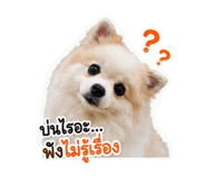 863211716