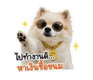 863211720