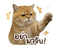863212082