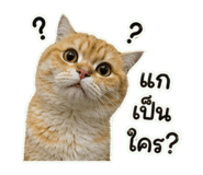 863212085
