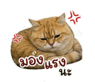 863212087