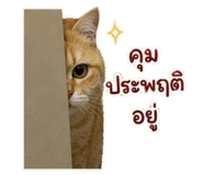 863212088