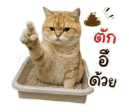 863212089