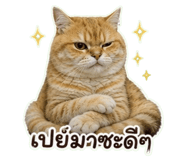 863212093
