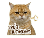 863212094
