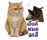 863212095