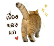863212096