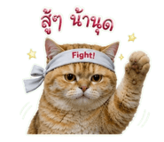 863212097