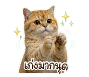 863212100