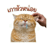 863212110