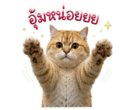 863212112