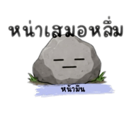 863212954