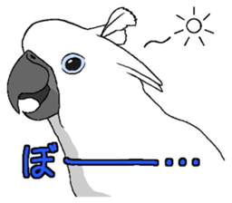 8632191