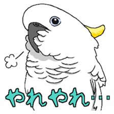 8632192