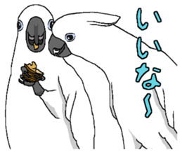 8632197