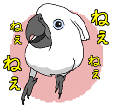 8632198