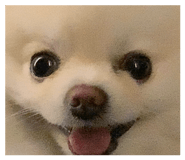 863220148