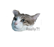 863220462