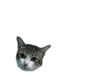 863220463