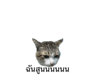 863220464