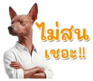 863220855