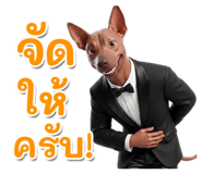 863220867