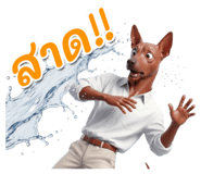 863220884
